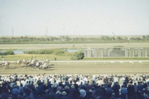 【京都大賞典 202X 予想】回収率重視！「中穴」サンライズアース軸のワイド・3連複買い目