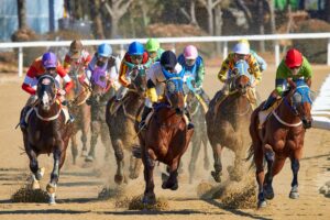 【毎日王冠 2025】回収率重視の「中穴軸馬」で勝負！馬連3点＆3連複8点の最終結論